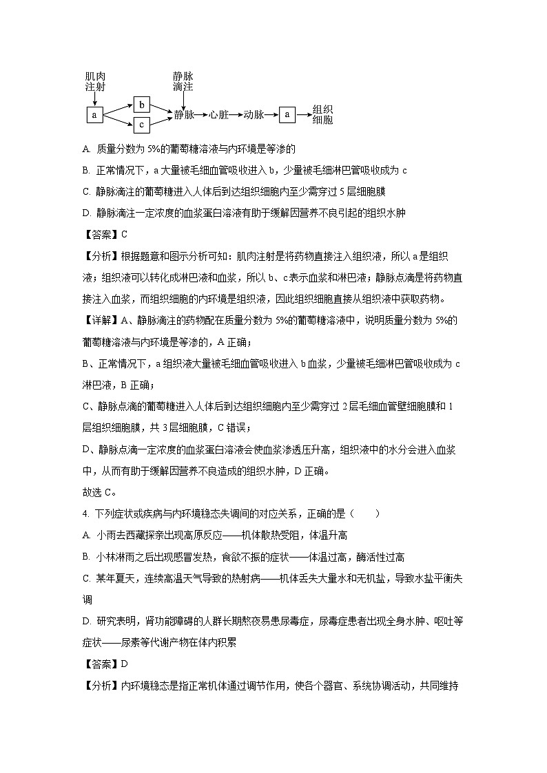 2024~2025学年黑龙江省龙西北名校联盟高二上学期期中考试生物试卷(解析版)第3页