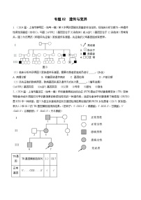 專題02 遺傳與變異--2024年高考生物一模試題分類匯編（上海專用）