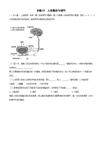 專題03 穩(wěn)態(tài)與調(diào)節(jié)--2024年高考生物一模試題分類匯編（上海專用）