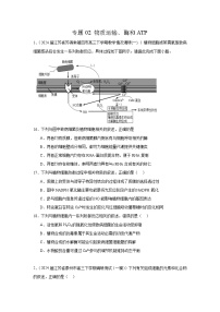 專題2 物質運輸、酶和ATP--2024年高考生物一模試題分類匯編（江蘇專用）