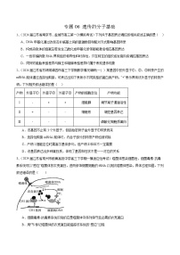 專題6 遺傳的分子基礎(chǔ)--2024年高考生物一模試題分類匯編（江蘇專用）