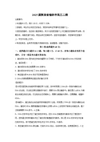 2025届陕西省榆林市高三二模生物试卷（解析版）