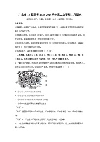 2024~2025学年广东省18校联考高二上学期1月期末生物试卷（解析版）