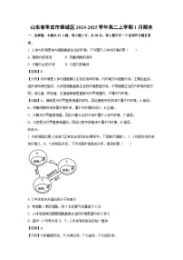 2024~2025学年山东省枣庄市薛城区高二上学期1月期末生物试卷（解析版）