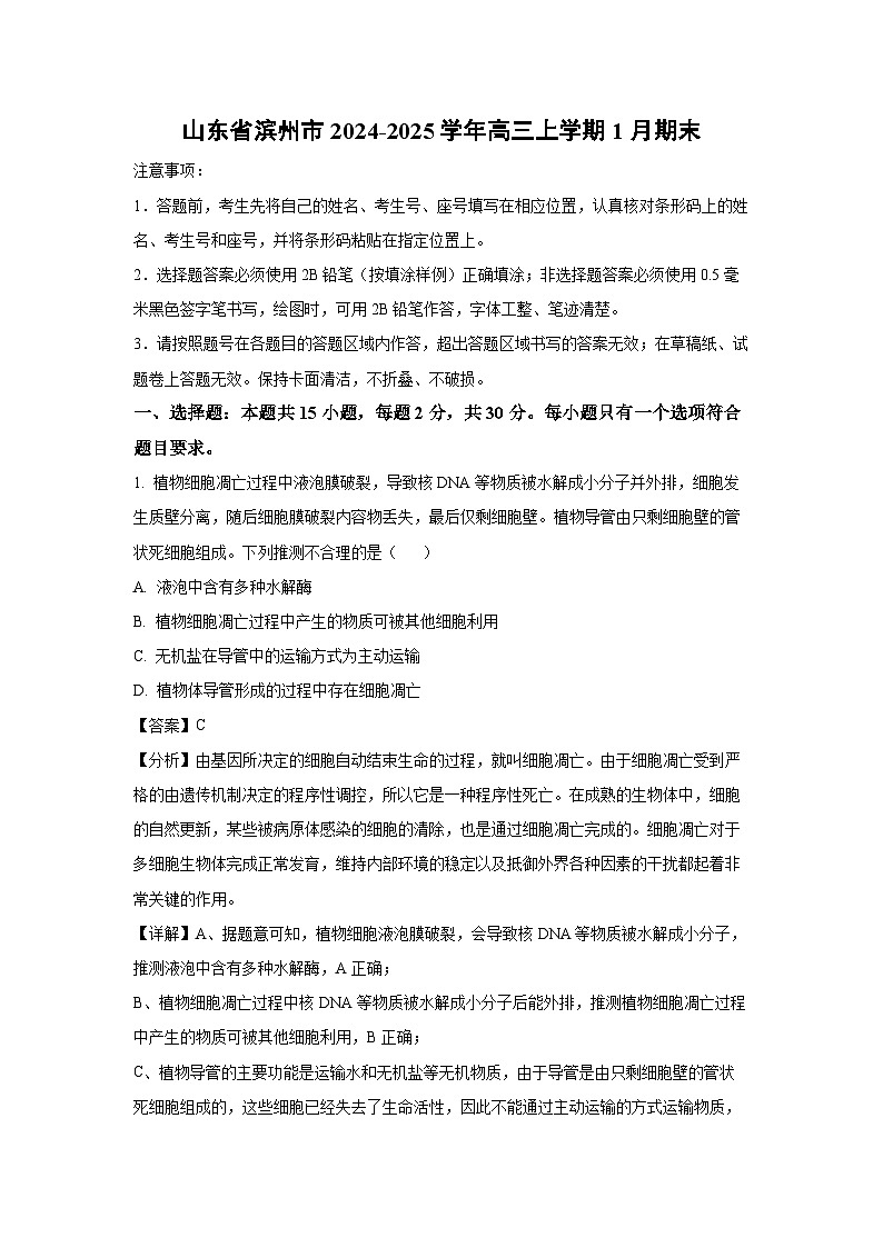 2024~2025学年山东省滨州市高三上学期1月期末生物试卷(解析版)第1页