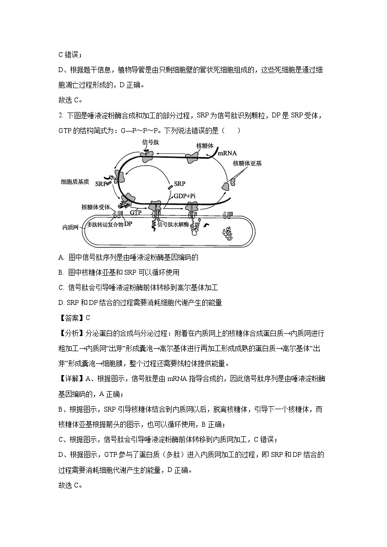 2024~2025学年山东省滨州市高三上学期1月期末生物试卷(解析版)第2页