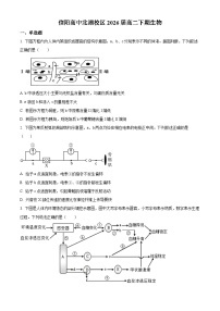 河南省信阳高级中学北湖校区2024-2025学年高二下学期开学考试生物试题（原卷版+解析版）