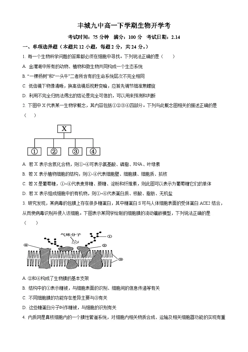 江西省丰城市第九中学2024-2025学年高一下学期开学考试生物试题(原卷版+解析版)第1页