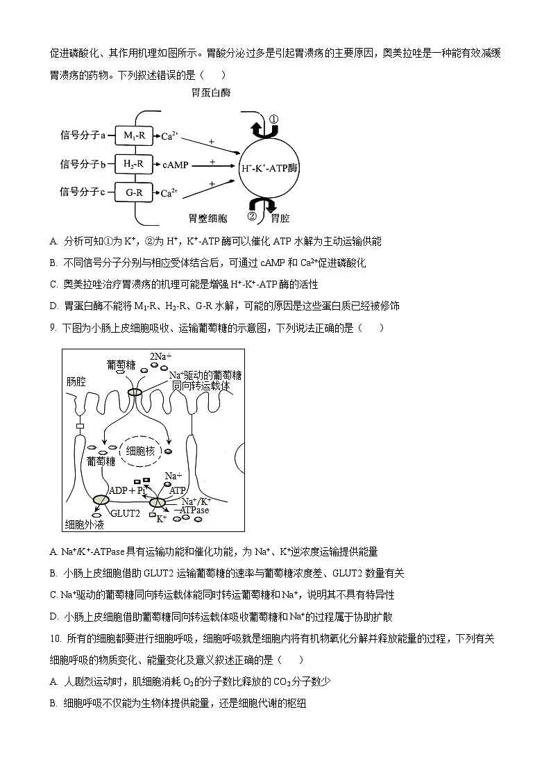 江西省丰城市第九中学2024-2025学年高一下学期开学考试生物试题(原卷版+解析版)第3页