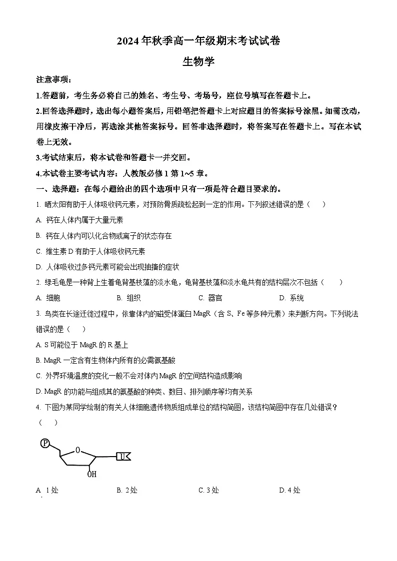 贵州省毕节市金沙县2024-2025学年高一上学期期末考试生物学试卷 Word版无答案第1页