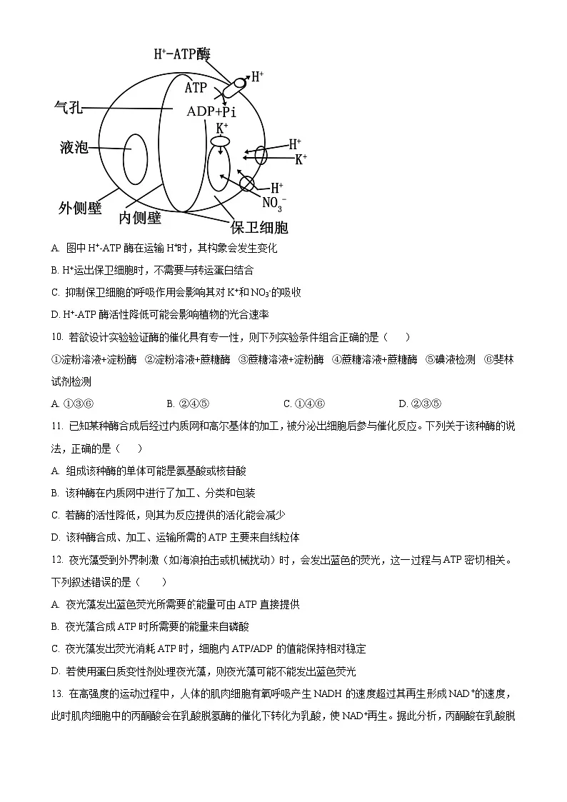 贵州省毕节市金沙县2024-2025学年高一上学期期末考试生物学试卷 Word版无答案第3页