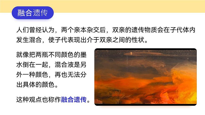 人教版2025高中生物必修二1.1.1孟德尔的豌豆杂交实验(一) 课件第3页