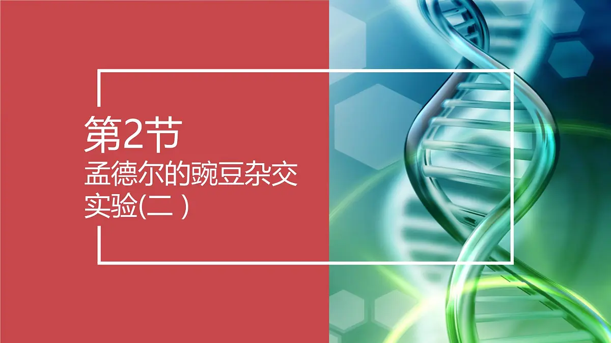 人教版2025高中生物必修二第2节孟德尔的豌豆杂交实验(二) 课件第1页