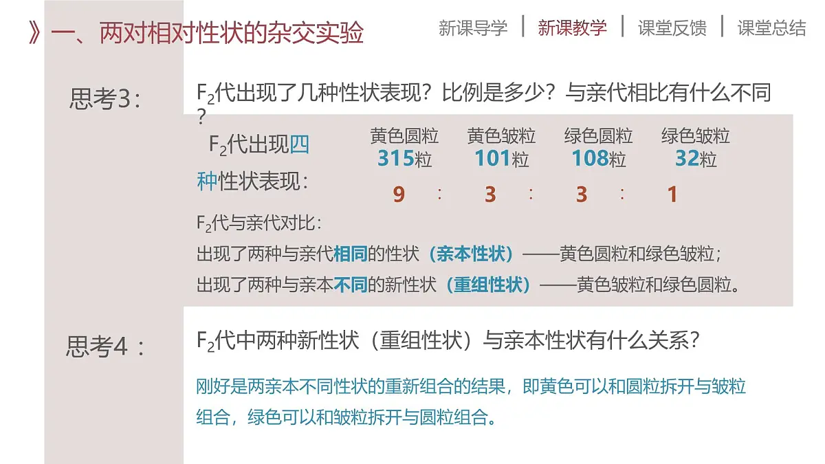 人教版2025高中生物必修二第2节孟德尔的豌豆杂交实验(二) 课件第8页