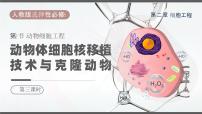 高中生物人教版 (2019)选择性必修3三 动物体细胞核移植技术和克隆动物课前预习ppt课件