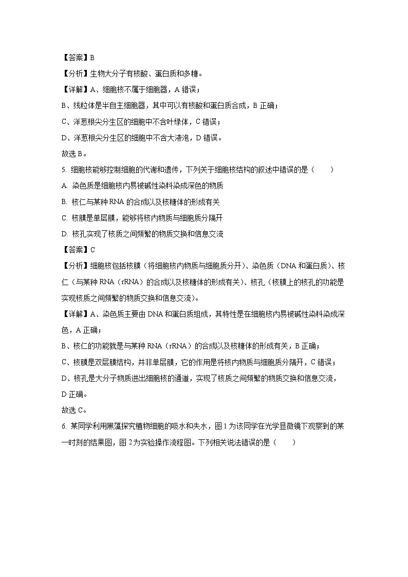 2024-2025学年湖南省张家界市高一上学期期末考试生物试卷(解析版)第3页