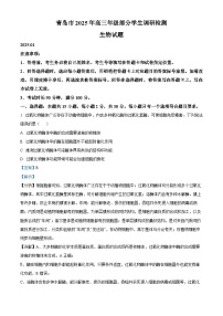 山东省青岛市2024-2025学年高三上学期期末考试生物试卷（Word版附解析）