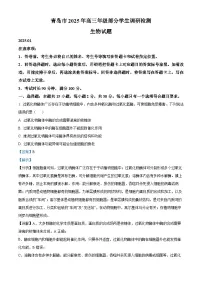 山东省青岛市2024-2025学年高三上学期期末考试生物试卷(Word版附解析)