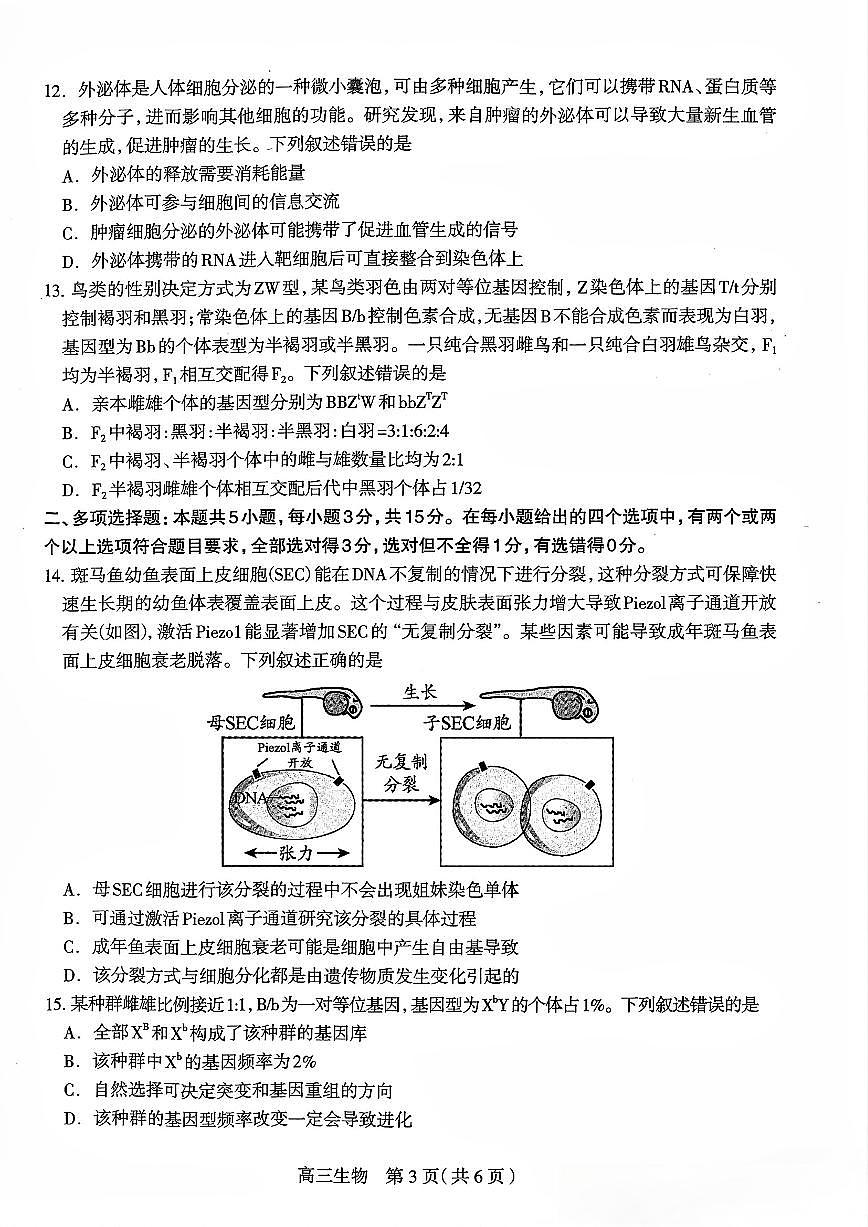 2025届石家庄高中高考模拟一模生物试卷+答案第3页