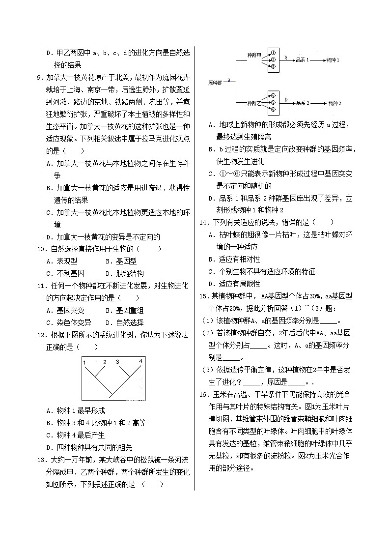 第6章 第2節(jié) 自然選擇與適應(yīng)的形成（生物學(xué)必修2RJ）課后練習(xí)+答案第2頁