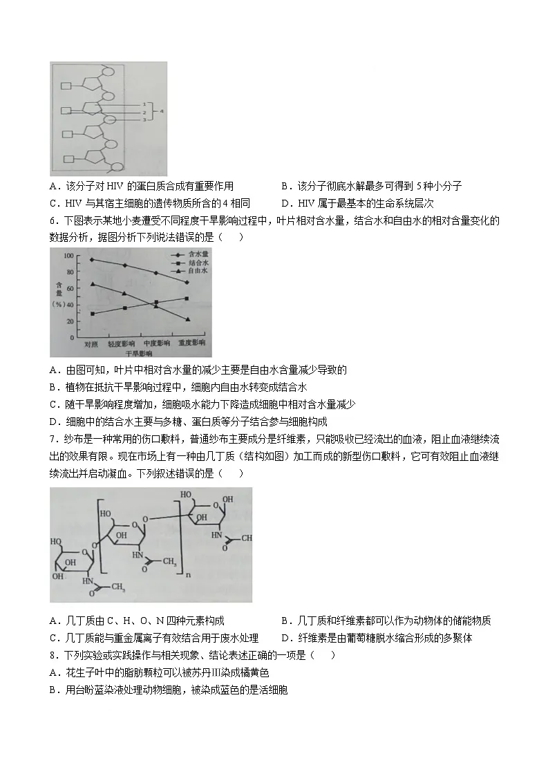 2025辽宁省七校协作体高一下学期3月联考试题生物含答案第2页