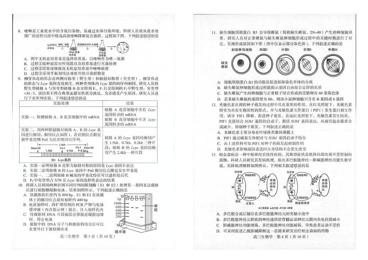2025届福建省龙岩市高三下学期高中毕业班3月教学质量检测生物试题(扫描版有答案)第2页