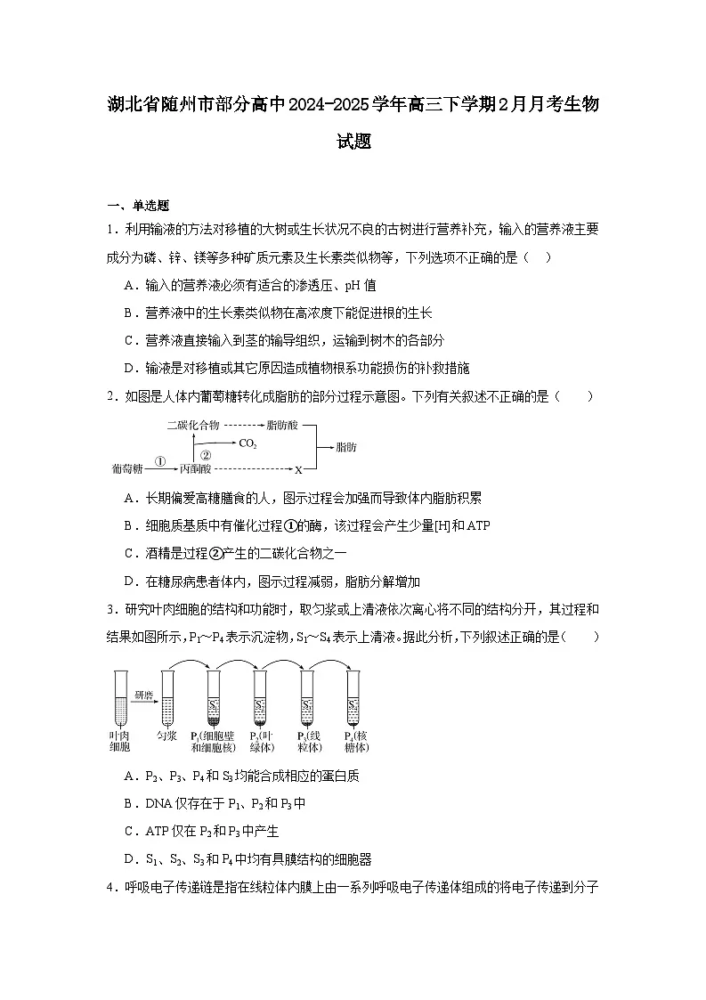 湖北省随州市部分高中2024-2025学年高三下学期2月月考生物试题【含答案】第1页