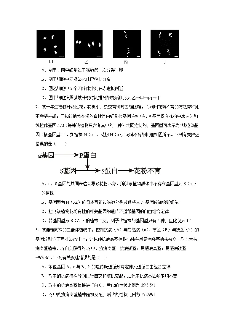 湖北省随州市部分高中2024-2025学年高三下学期2月月考生物试题【含答案】第3页