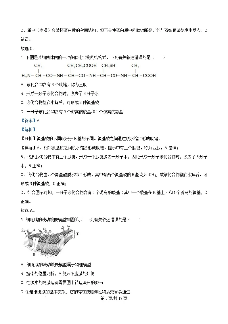 湖南省邵阳市2024-2025学年高一上学期期末生物试题 Word版含解析第3页