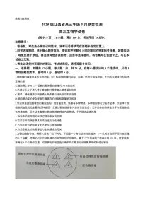 江西省上进联考2024-2025学年高三下学期3月联合检测生物试卷（PDF版附解析）