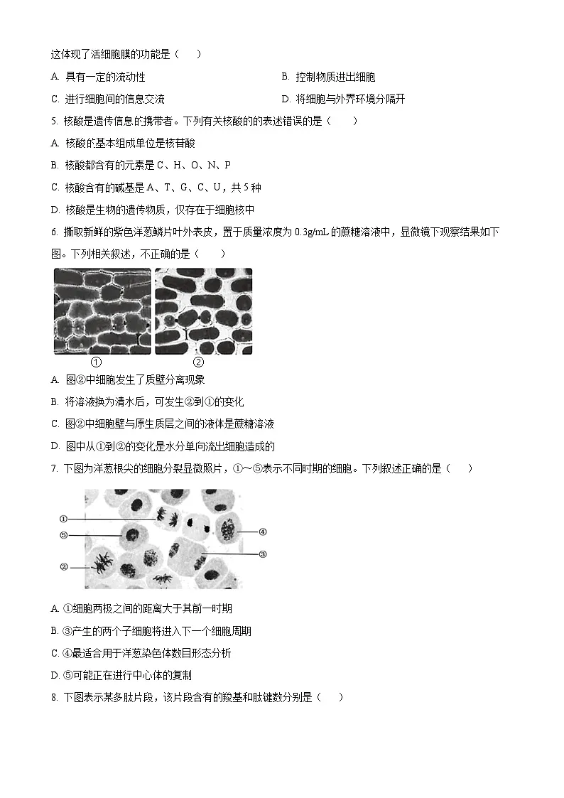 河南省漯河市高级中学2024-2025学年高一下学期第一次月考考试生物试卷(原卷版+解析版)第2页