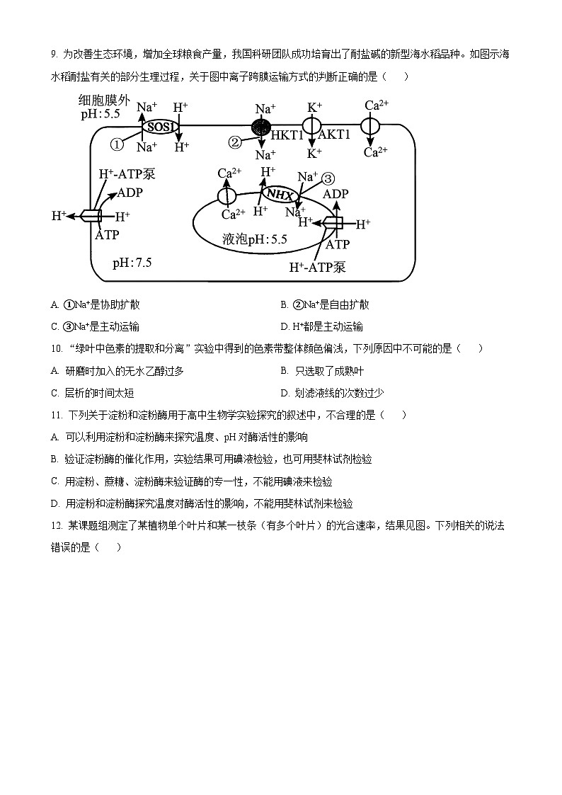 湖北省云学联盟2024-2025学年高一下学期3月月考生物试题(原卷版+解析版)第3页