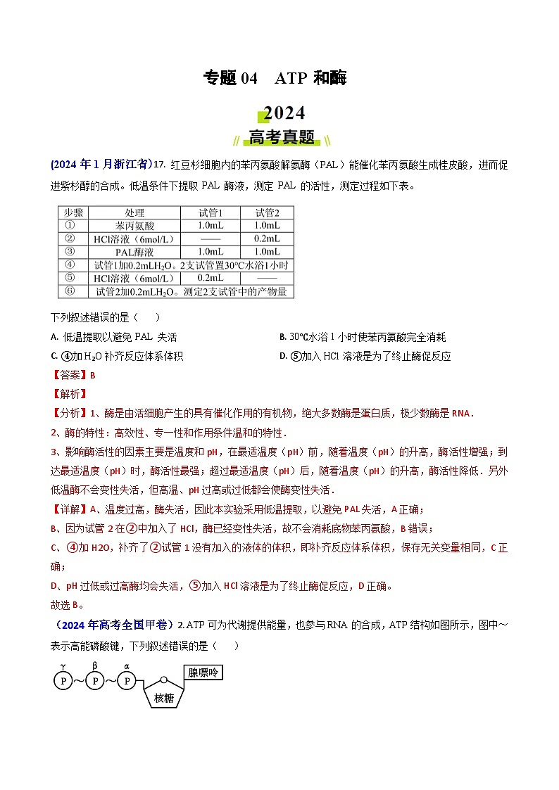 专题04 ATP和酶2024年高考真题和模拟题生物分类汇编(教师卷)第1页