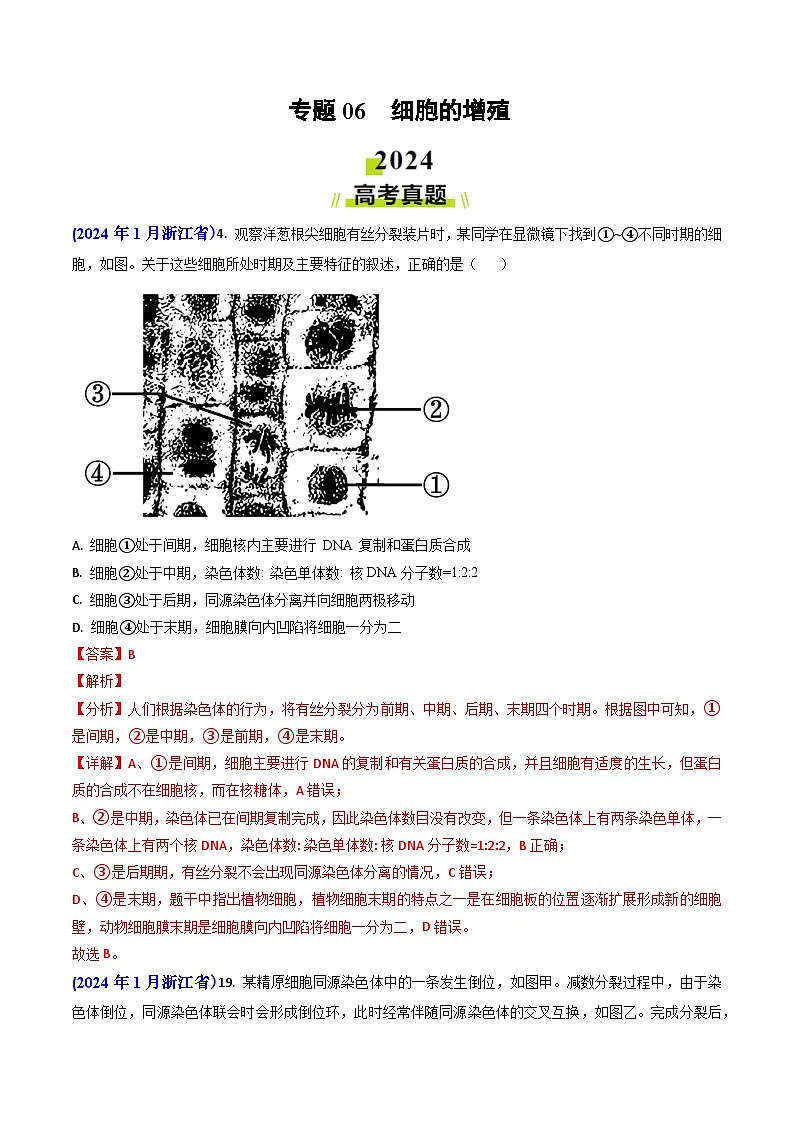 专题06 细胞的增殖-2024年高考真题和模拟题生物分类汇编(教师卷)第1页