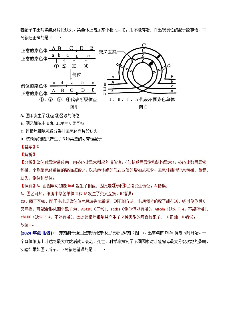 专题06 细胞的增殖-2024年高考真题和模拟题生物分类汇编(教师卷)第2页