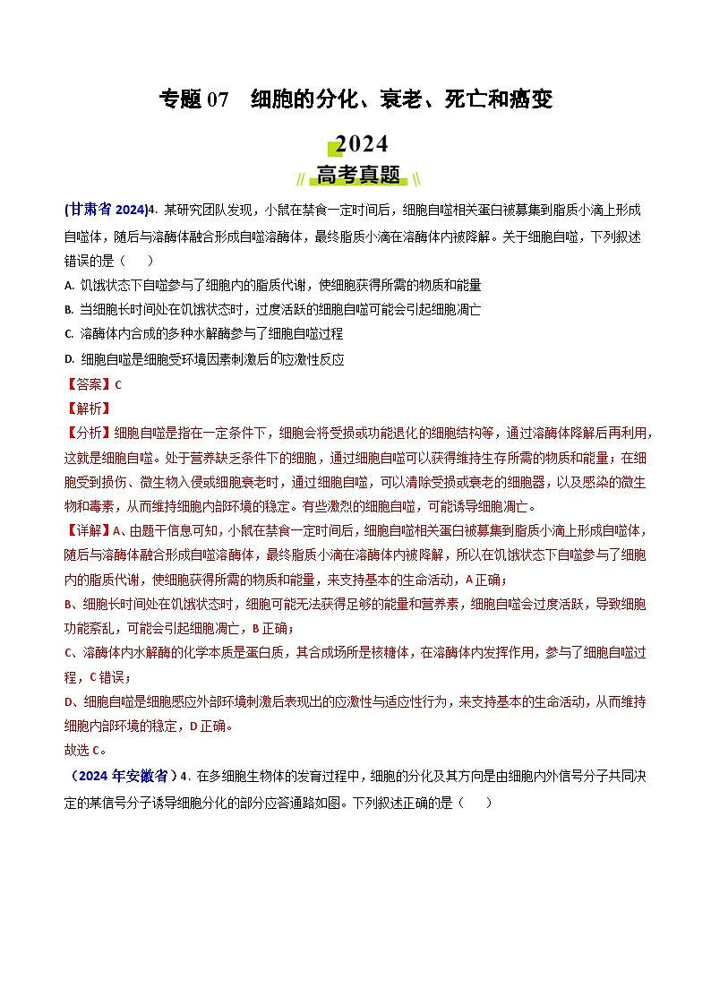 专题07 细胞的分化、衰老、死亡和癌变-2024年高考真题和模拟题生物分类汇编(教师卷)第1页