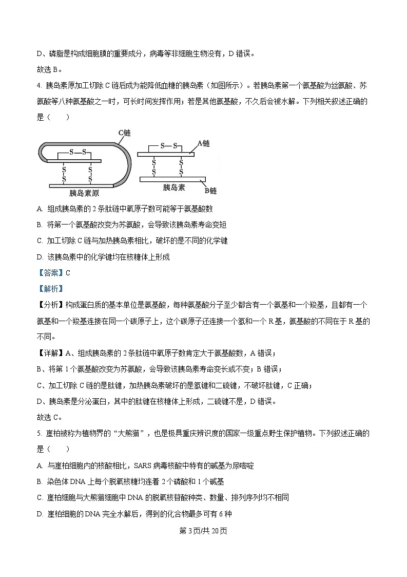 湖北省荆州中学2024-2025学年高一下学期2月月考生物试卷 Word版含解析第3页