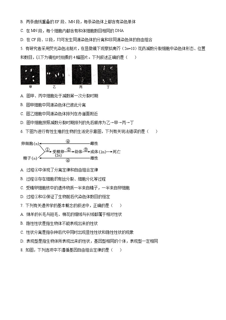 江苏省徐州市沛县2024-2025学年高一下学期3月月考生物试卷(原卷版+解析版)第2页