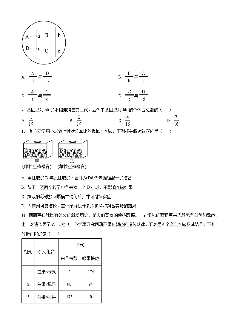 江苏省徐州市沛县2024-2025学年高一下学期3月月考生物试卷(原卷版+解析版)第3页