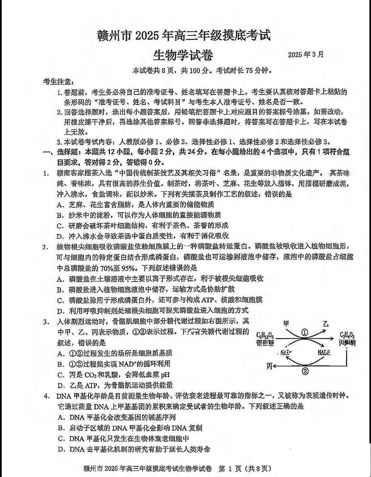 生物丨江西省赣州市2025届高三下学期3月年级摸底考试(赣州一模)生物试卷及答案第1页