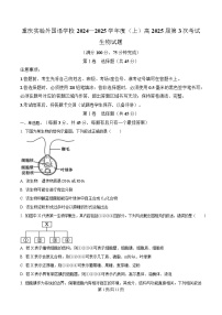 重庆市四川外国语大学附属外国语学校2024-2025学年高三上学期第3次考试生物试卷（Word版附解析）