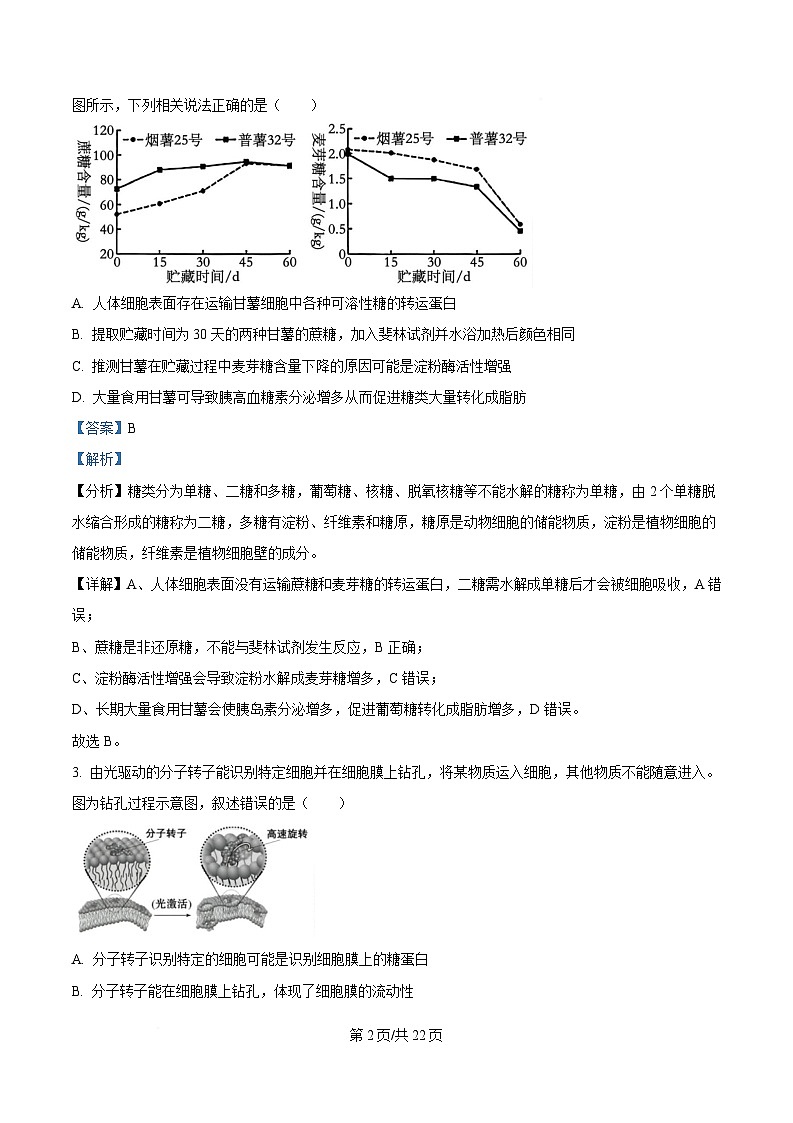 重慶市第十一中學(xué)教育集團2024-2025學(xué)年高三上學(xué)期第三次質(zhì)量檢測生物試題 Word版含解析第2頁