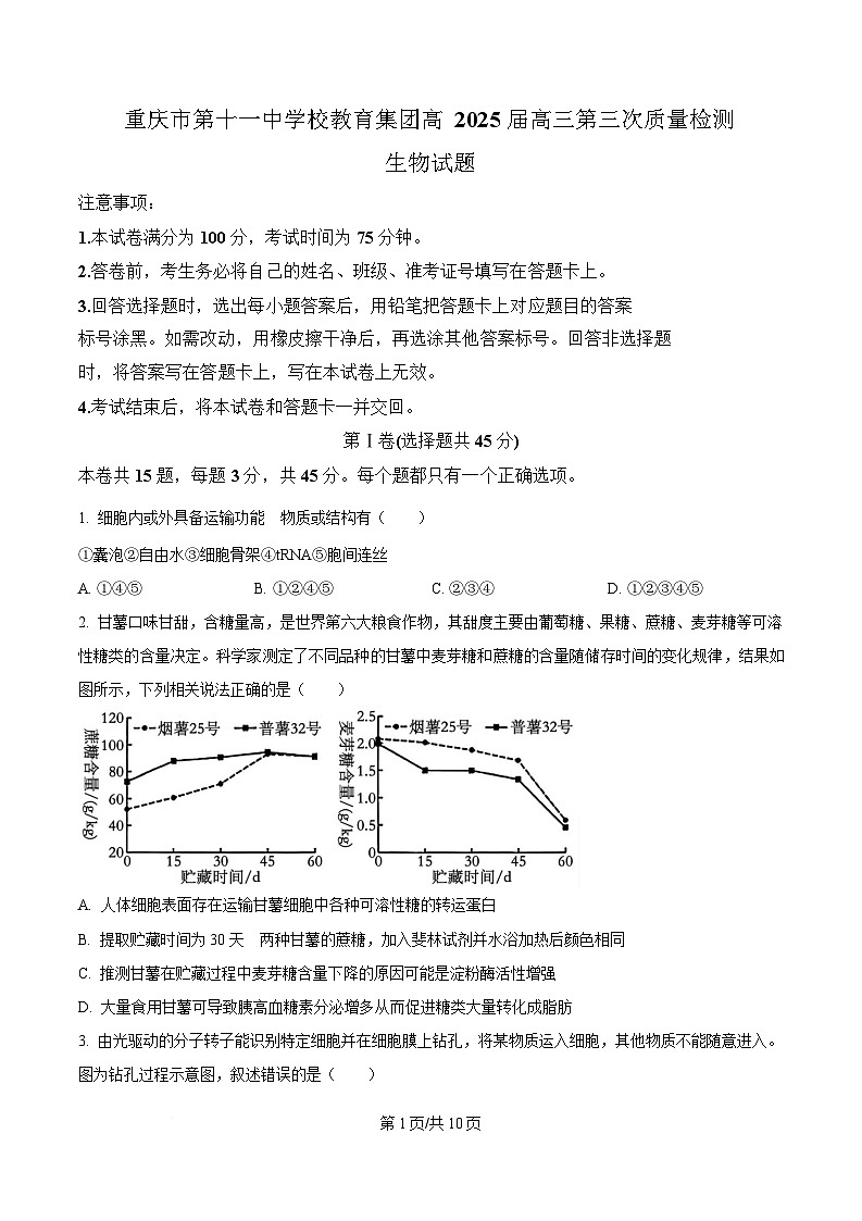重慶市第十一中學(xué)教育集團2024-2025學(xué)年高三上學(xué)期第三次質(zhì)量檢測生物試題（原卷版）第1頁