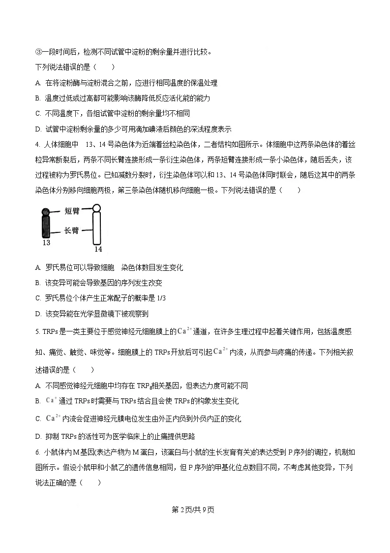 重庆市部分中学2025届高三模拟预测生物试卷(原卷版)第2页