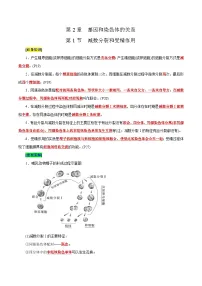 第2章 基因和染色体的关系-【晨读晚默】备战2025年高考生物必背知识清单