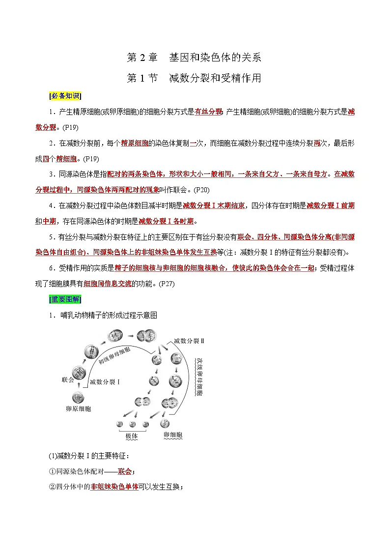 第2章 基因和染色体的关系(背诵版)第1页