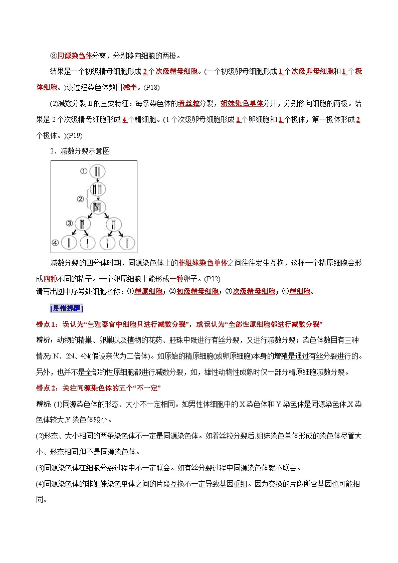 第2章 基因和染色体的关系(背诵版)第2页