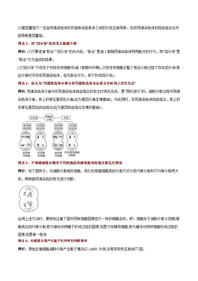 第2章 基因和染色体的关系(背诵版)第3页