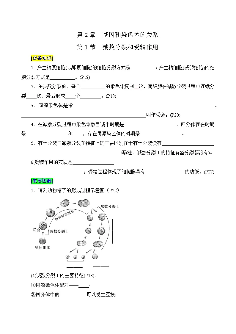 第2章 基因和染色体的关系(填空版)第1页