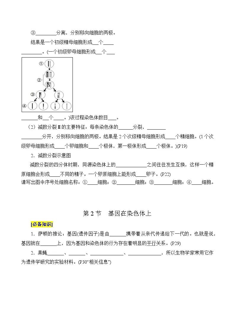 第2章 基因和染色体的关系(填空版)第2页